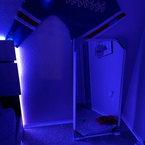 Home Goods Mirror 24 x 48 {Brand New}